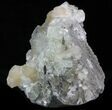 Stilbite & Apophyllite Crystal Cluster - India #33923-1